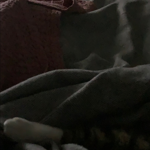 jaimcat